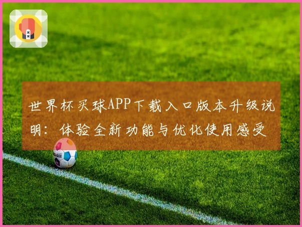 世界杯买球APP下载入口版本升级说明：体验全新功能与优化使用感受