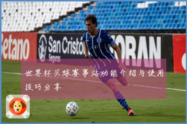 世界杯买球赛事站功能介绍与使用技巧分享