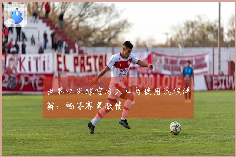 世界杯买球官方入口与使用流程详解，畅享赛事激情