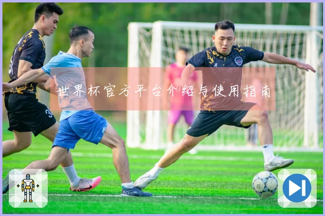 世界杯官方平台介绍与使用指南