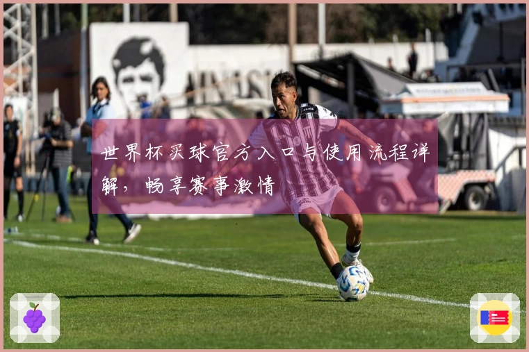 世界杯买球官方入口与使用流程详解，畅享赛事激情