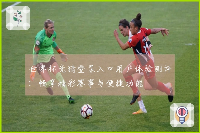 世界杯竞猜登录入口用户体验测评：畅享精彩赛事与便捷功能