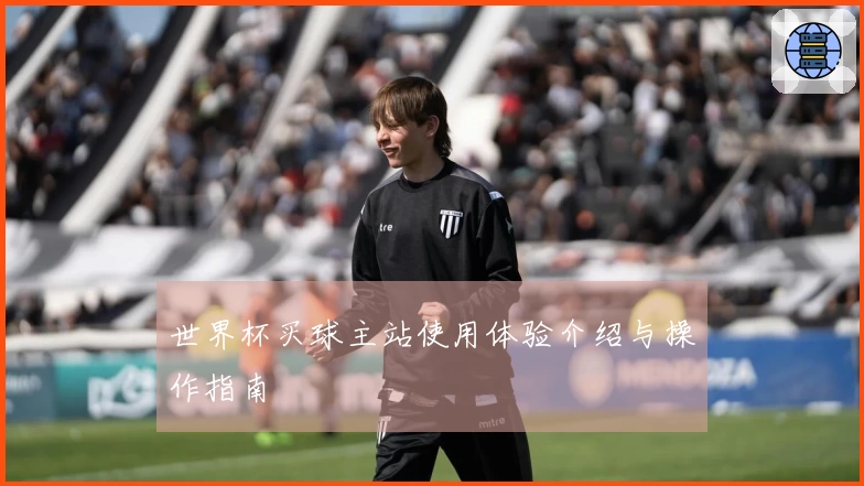 世界杯买球主站使用体验介绍与操作指南