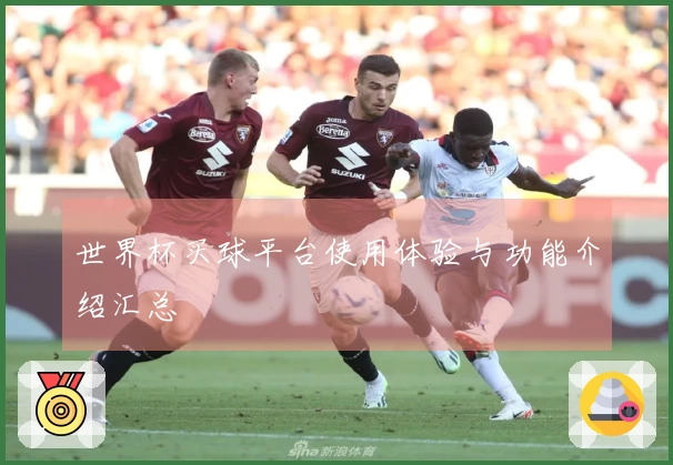 世界杯买球平台使用体验与功能介绍汇总