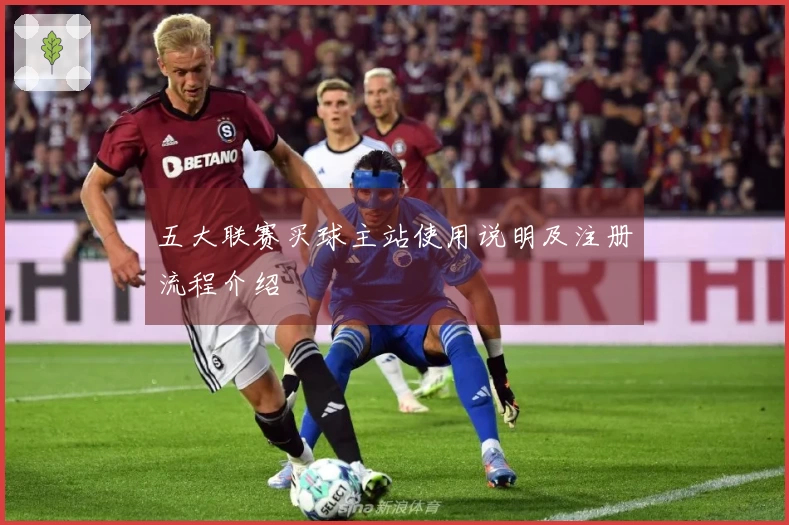 五大联赛买球主站使用说明及注册流程介绍