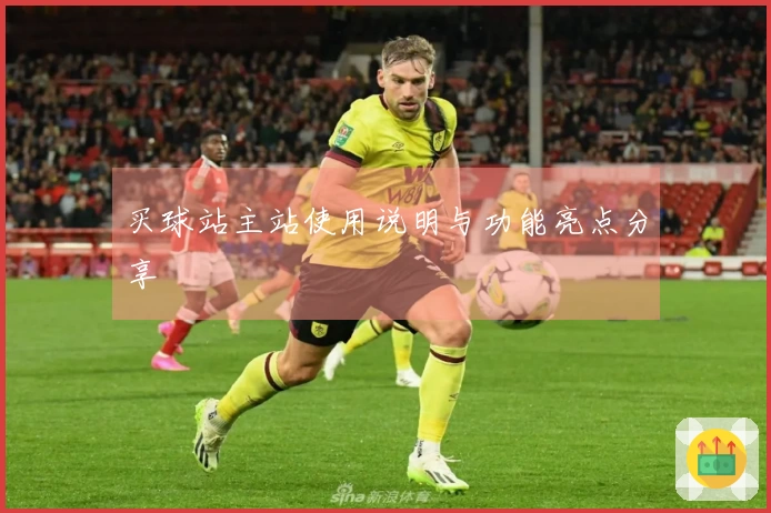 买球站主站使用说明与功能亮点分享