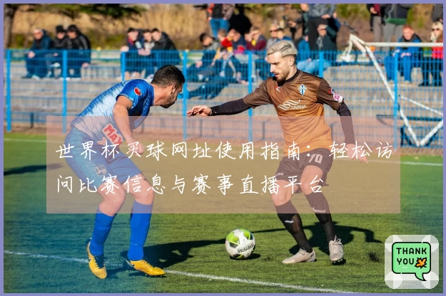 世界杯买球网址使用指南：轻松访问比赛信息与赛事直播平台