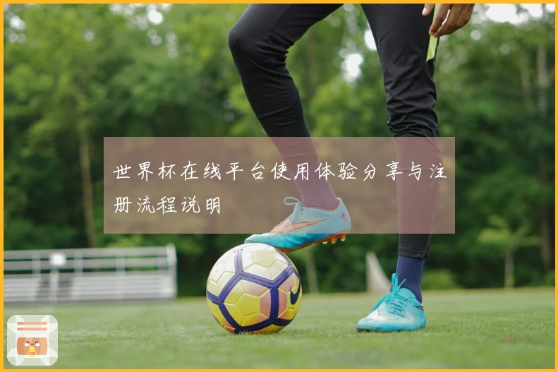 世界杯在线平台使用体验分享与注册流程说明