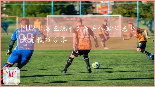 FIFA买球正规平台用户体验汇总与使用技巧分享